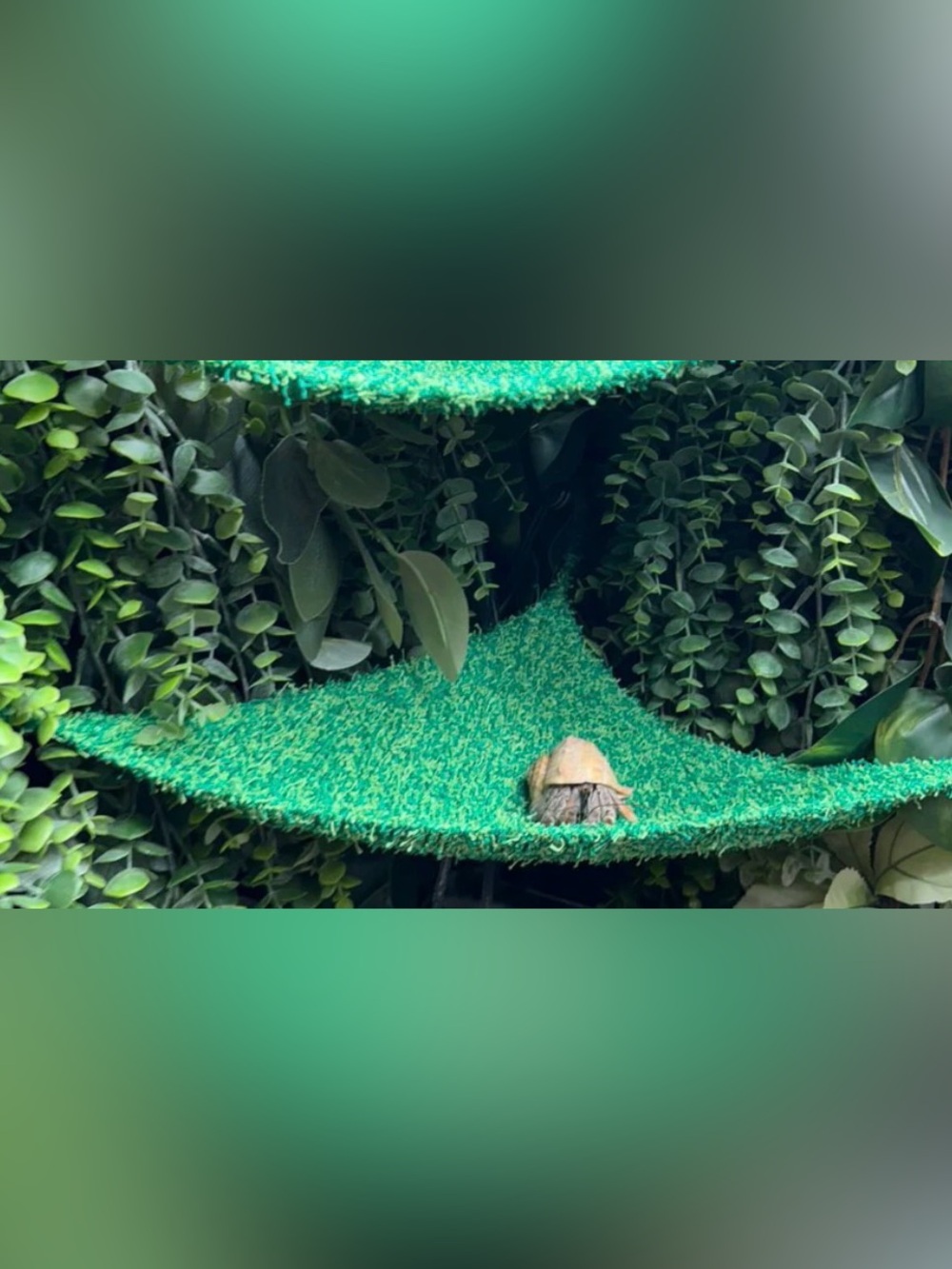Norton's Nest Hammock- Seaglass